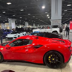 IMG 3518