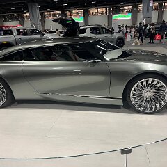 IMG 3537